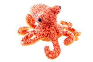 Obrázek z Chobotnice oranžová plyš 17cm 